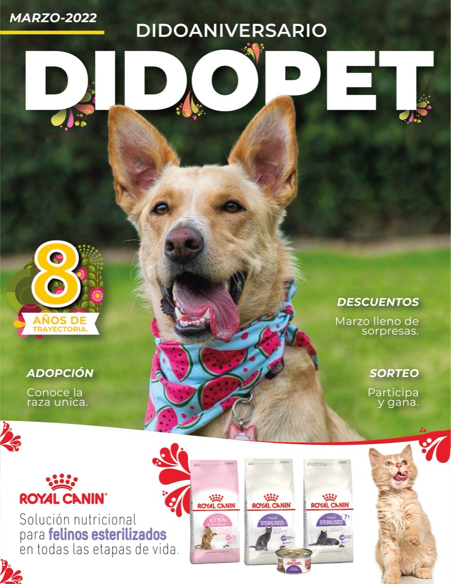 Página de revista del programa de marca y contenido de Dido Veterinaria.
